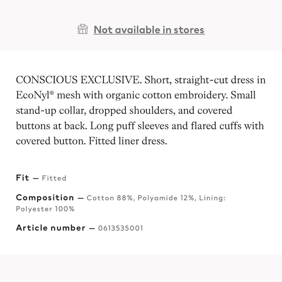 H&M conscious exclusive Dress - Picture 8 of 8